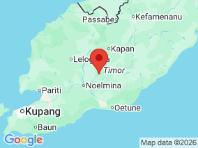 Map of Site Report: Oelnasi, Indonesia